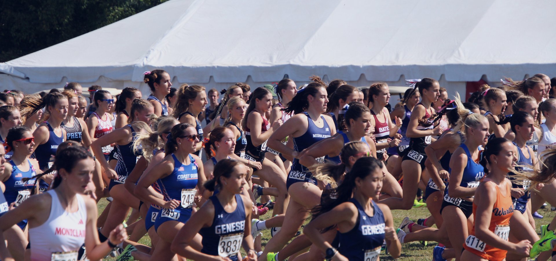 Runners at the start of a cross-country race